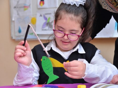 Gəncə-Daşkəsən regionunda 11 şagird inkluziv təhsilə cəlb edilib  