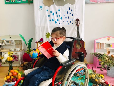 Şəki-Zaqatala bölgəsində inkluziv təhsilə cəlb edillən şagirdlərin SAYI