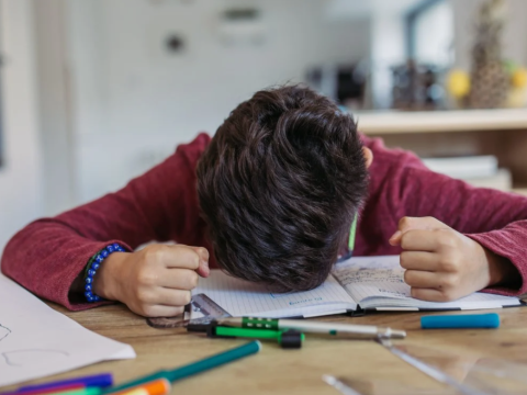 “0” qiyməti alan tələbələr: Özlərini yetərsiz, alçaldılmış hiss edirlər