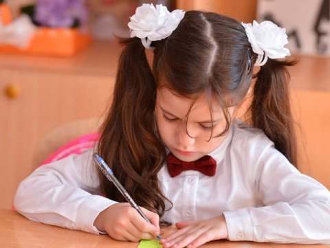 Naxçıvanda bu qədər uşaq I sinifə gedəcək  