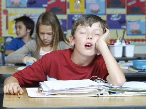 Türkiyədə məktəbə uyğunlaşma həftəsi başlayır