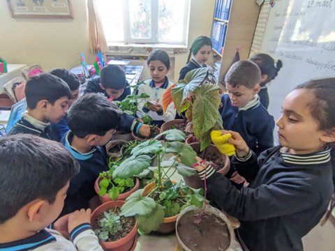 II-XI siniflərdə ilk dərs “Yaşıl dünya naminə həmrəylik” mövzusunda olacaq