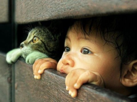 Valideyn himayəsindən məhrum olmuş uşaqların sayı artıb - RƏQƏMLƏR