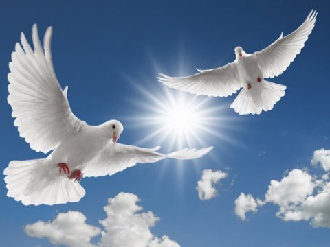 21 Sentyabr - Beynəlxalq Sülh Günüdür