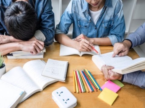 Xarici təcrübədə repetitorluq: “Məktəbin, formal təhsilin yerini almayıb”