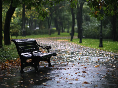 Bu rayonlara yağış yağıb - FAKTİKİ HAVA