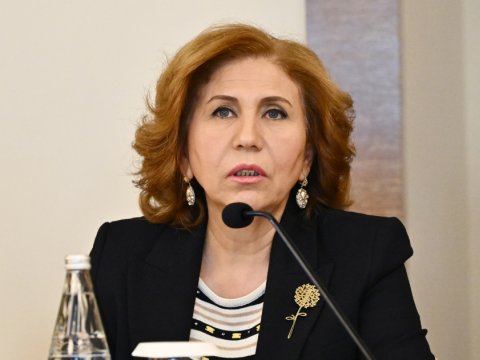 Bahar Muradova: Məişət zorakılığı üzrə altı qanuna və beş fərmana dəyişikliklər edilib