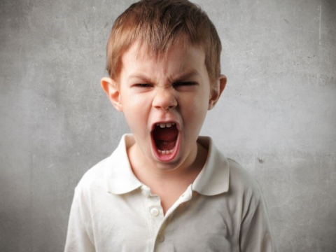 "Davranış problemi olan uşaqlar, evdə aqressiya və şiddət görənlərdir"