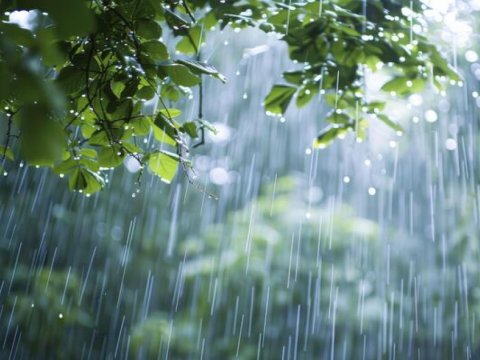 Faktiki hava açıqlanıb