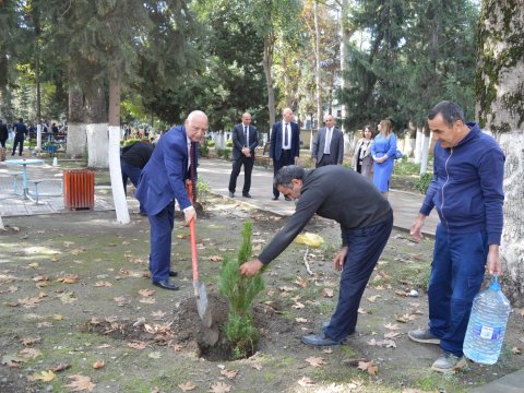 MDU-da ağacəkmə aksiyası uğurla davam edir