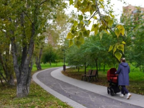 Yeni qanun layihəsi təklifi: Uşaqsız analar işə götürülməyəcək?