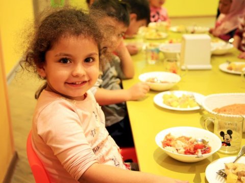 Bağçalarda düzgün qidalanma necə olmalıdır? 