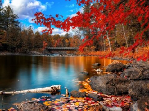 Noyabr ayının QEYRİ-İŞ GÜNLƏRİ