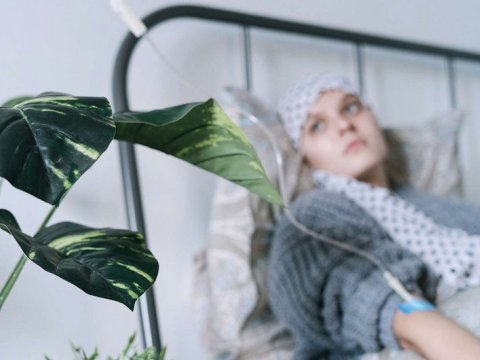 Alimlər radiasiyanın zərərini azaltmağın&nbsp;üsulunu tapıblar