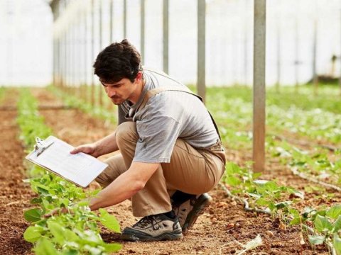 Aqrar sığorta fəaliyyəti üzrə müstəqil ekspert sertifikatı almaq istəyənlər imtahan verəcəklər