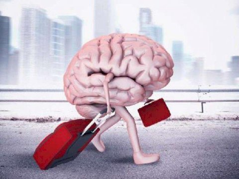 Azərbaycandan xaricə “beyin axını” - İstedadlı gənclər ölkəni niyə tərk edir?