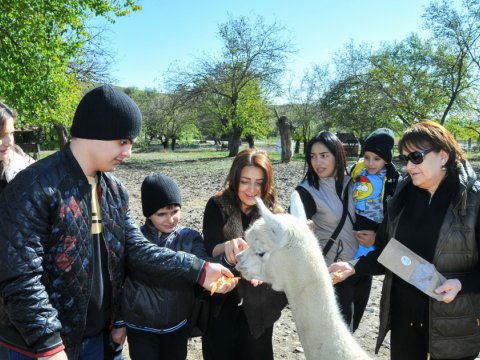 Xüsusi qayğıya ehtiyacı olan uşaqların Şamaxıya ekskursiyası təşkil edilib