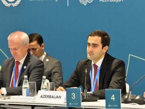 Nazir müavini: Təhsil iqlim dəyişikliyinə qarşı mübarizənin ən güclü yollarından biridir