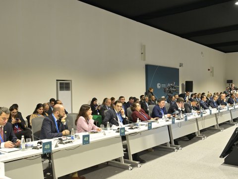 "Təhsilin yaşıllaşdırılması və iqlim dayanıqlılığı" mövzusunda yüksək səviyyəli panel keçirilib 