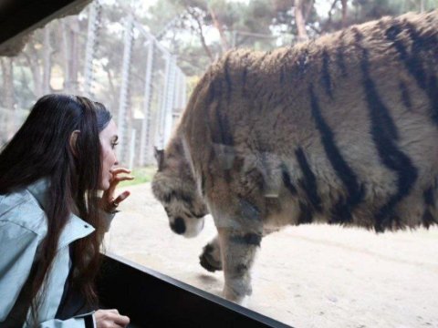 Leyla Əliyeva&nbsp;Bakı Zooparkında -&nbsp;FOTO