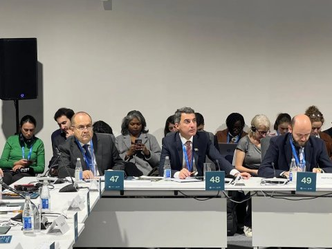 DİM-in aparat rəhbəri COP29 çərçivəsində keçirilən tədbirdə iştirak edib