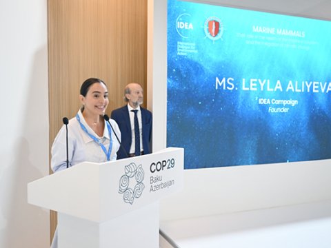 Leyla Əliyeva COP29 çərçivəsində müzakirələrdə iştirak etdi&nbsp;- Fotolar
