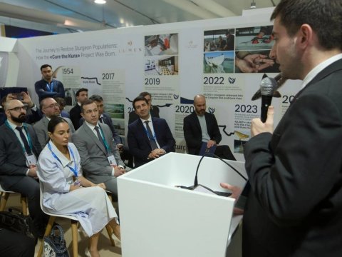 Leyla Əliyeva Yaşıl Zonada balıq körpələrinin suya buraxılışında iştirak edib