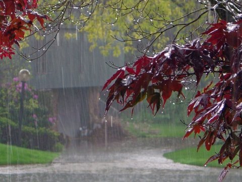 Temperatur düşəcək, leysan yağacaq - XƏBƏRDARLIQ