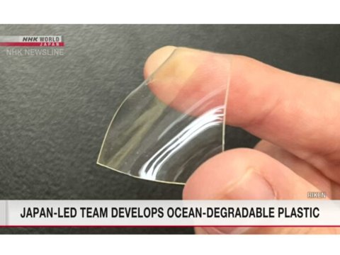 Dəniz suyunda parçalanan plastik hazırlanıb