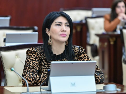 Məqalə və kitablara yazılan qonorarlardan vergini ləğv etmək lazımdır