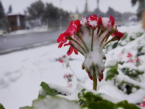 Bakıda qarlı havalara hazırlıq işləri görülür