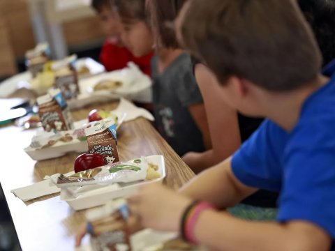 Nazir: Dünyanın heç bir ölkəsində bağçada uşağın 4 dəfə qidalanması modeli yoxdur