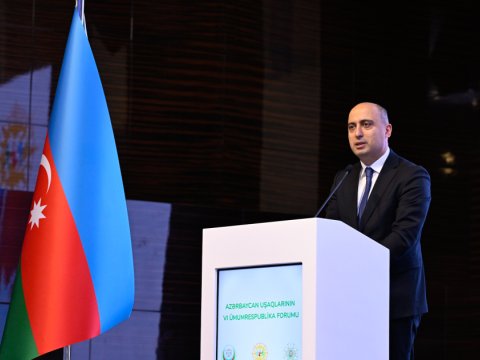 Hər bir insan anlamalıdır ki, azyaşlı qızı ərə vermək olmaz -&nbsp;Emin Əmrullayev