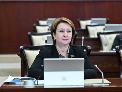 Yetkinlik yaşına çatmayanlarla bağlı komissiyalarda sosial pedaqoqların təmsil olunması təklif edilir