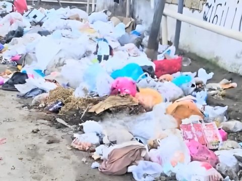 Hökməli qəsəbəsində məktəbə yaxın ərazidə ANTİSANİTAR vəziyyət