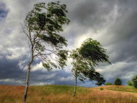 Sabah külək güclənəcək - sarı və narıncı xəbərdarlıq verilib