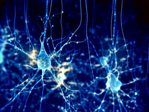 Sevincimizi itiririk?... - Məhz bu səbəbdən