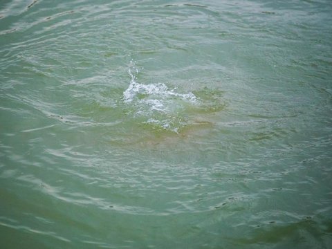 Ağdaşda 14 yaşlı oğlan kanalda boğulub