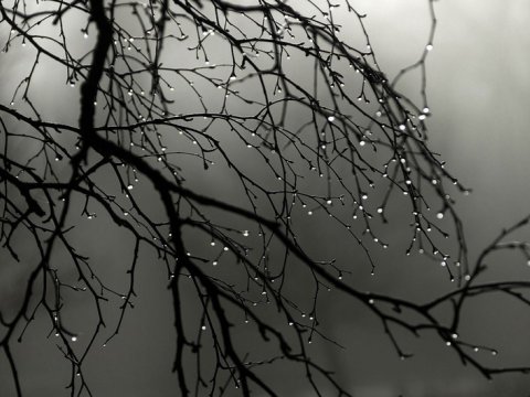 Hava kəskin dəyişəcək, temperatur 5-10 dərəcə aşağı enəcək - XƏBƏRDARLIQ