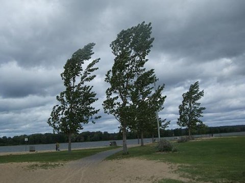 Küləkli hava şəraiti ilə bağlı sarı və narıncı xəbərdarlıq verilib