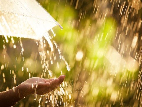 Sabah arabir yağış yağacaq, külək əsəcək