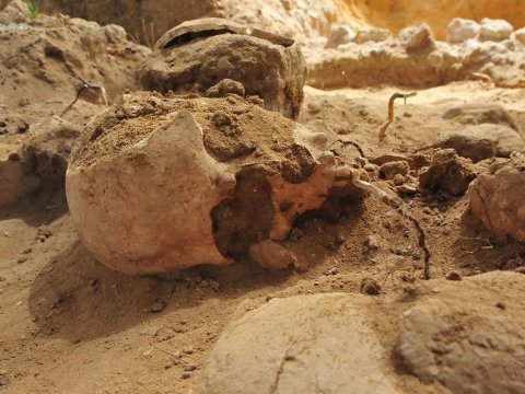 Britaniyada hannibalizmi sübut edən dəlillər tapılıb