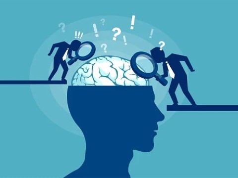 Mühitin dil öyrənməyə TƏSİRİ: Qısa müddətli kurslar yetərlidirmi?