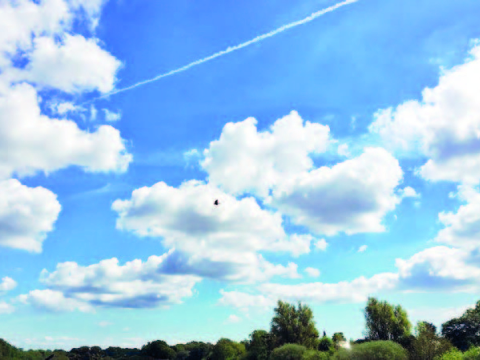 Ölkə ərazisində yağmursuz hava şəraiti müşahidə olunur&nbsp;