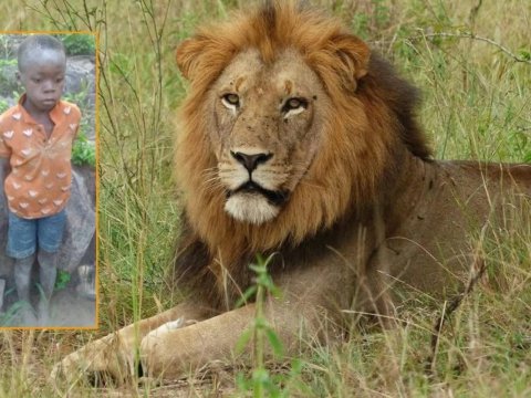 İtkin düşən uşaq 5 gün sonra sağ tapıldı