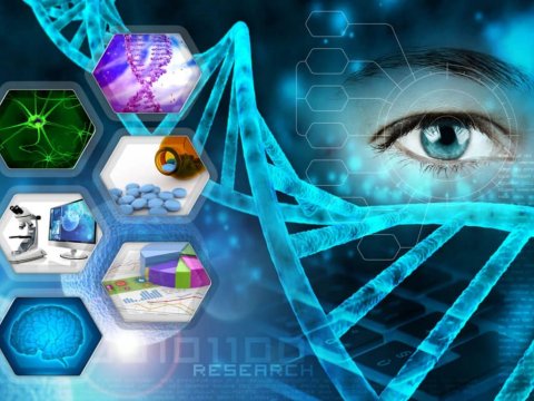 Yeni qan qrupu, beyində çip, yaddaş kristalı - 2024-cü ilin elmi nailiyyətləri