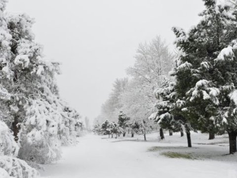 Dağlıq ərazilərə qar yağıb, Bakıda&nbsp;külək güclənib -&nbsp;FAKTİKİ HAVA