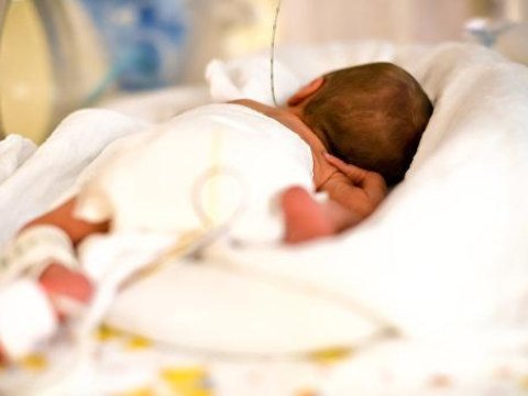 TƏBİB Zaqatalada körpə&nbsp;ölümünün ilkin səbəblərini açıqlayıb