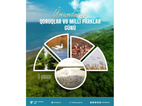 Ümumdünya Qoruqlar və Milli Parklar Günüdür