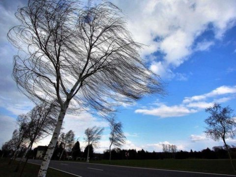 Sabah külək güclənəcək - XƏBƏRDARLIQ